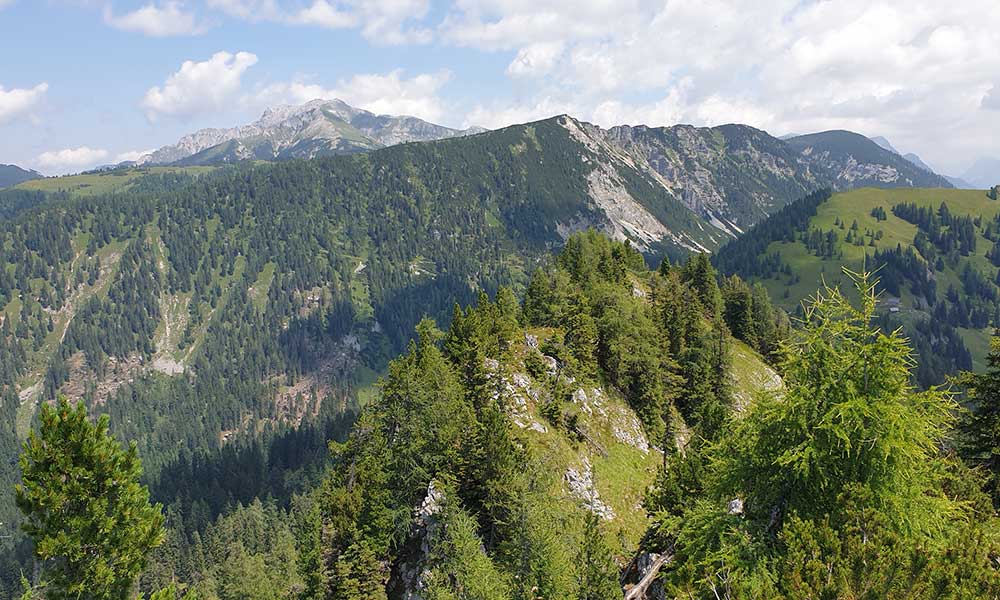 Bärenfeuchtkogel