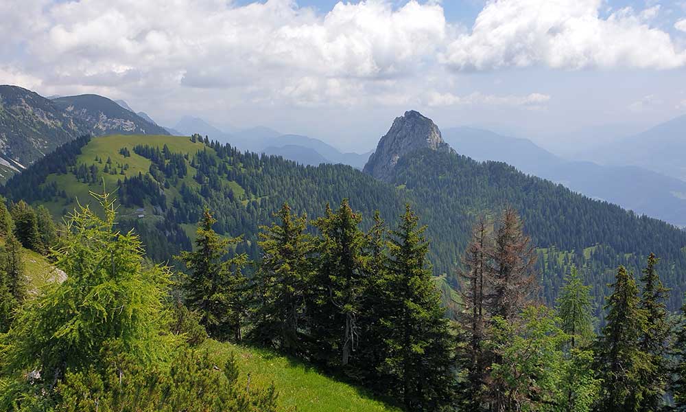 Bärenfeuchtkogel