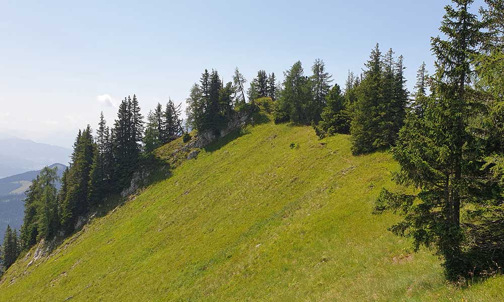 Bärenfeuchtkogel