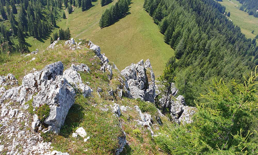 Bärenfeuchtkogel