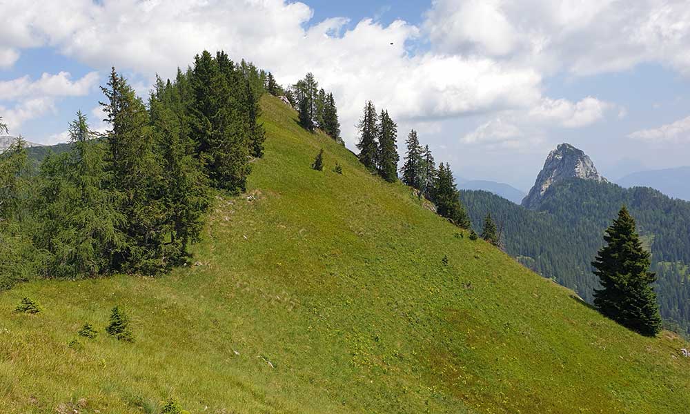 Bärenfeuchtkogel