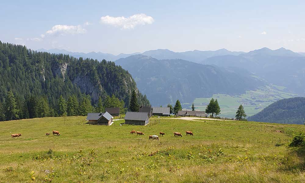 Bärenfeuchtkogel