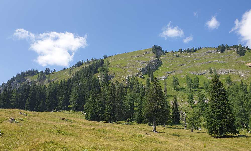 Bärenfeuchtkogel