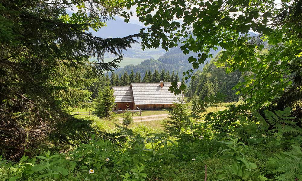 Bärenfeuchtkogel