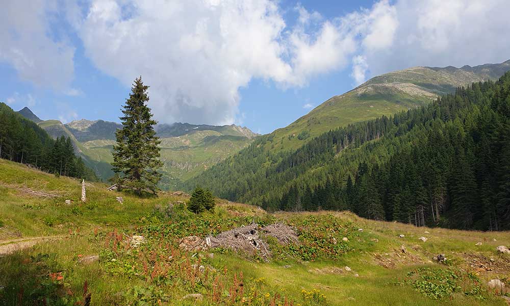 Schöderkogel