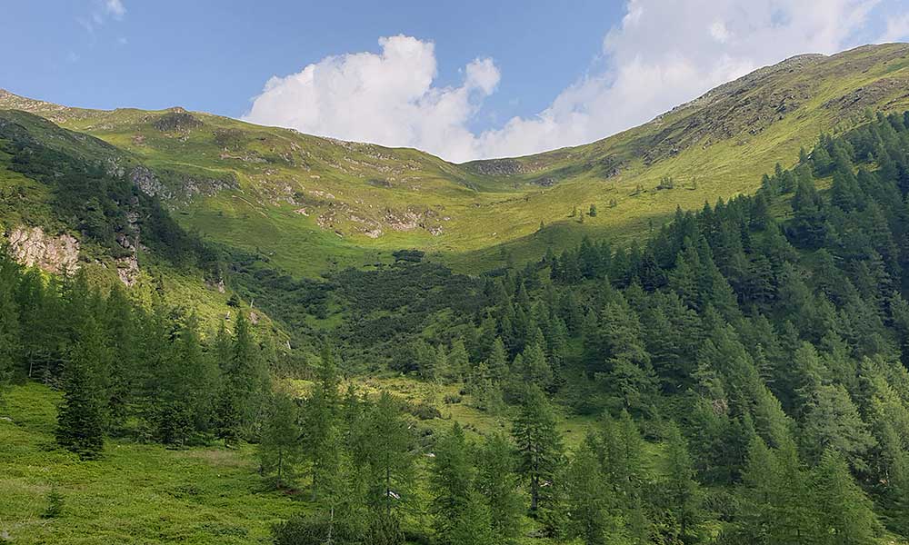 Schöderkogel