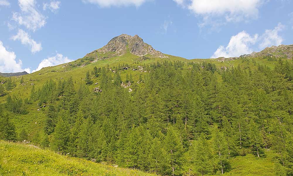 Schöderkogel