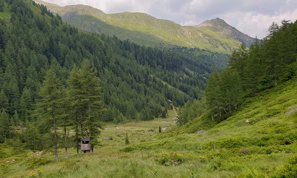 Schöderkogel