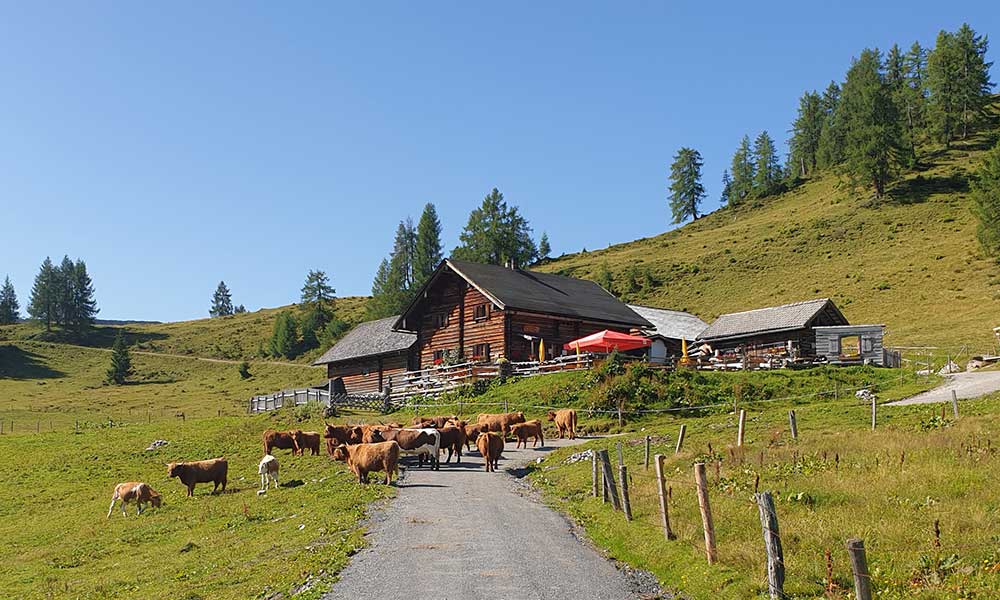 Lackenkogel