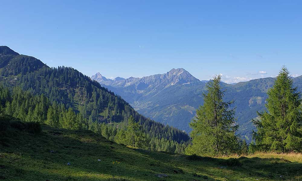 Lackenkogel