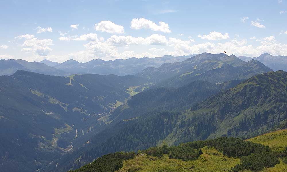 Lackenkogel