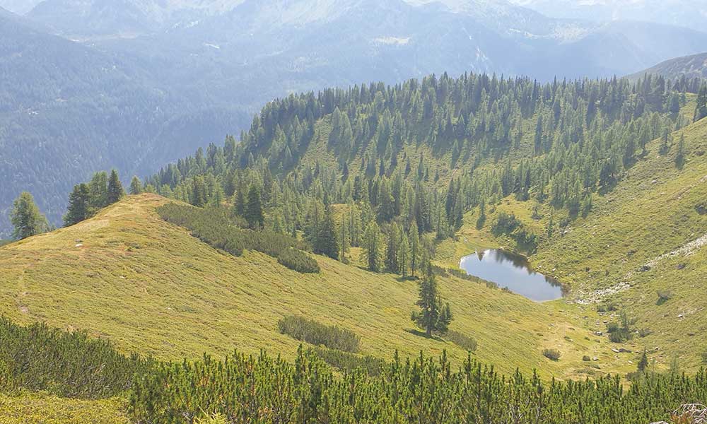 Strimskogel