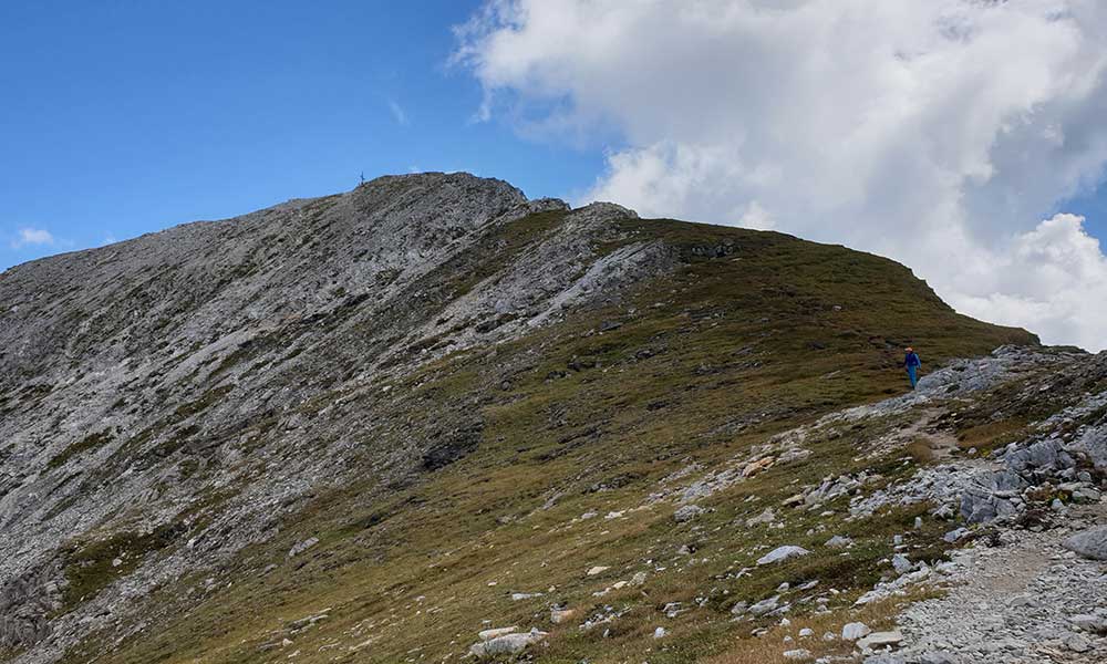 Glöcknerin