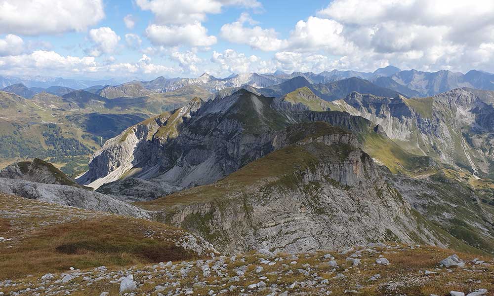 Glöcknerin