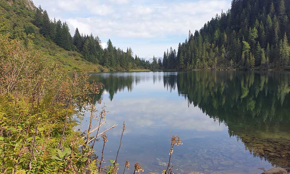 Obersee