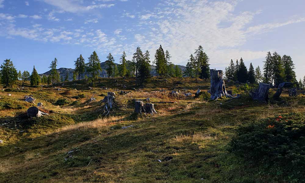 Roßkogel