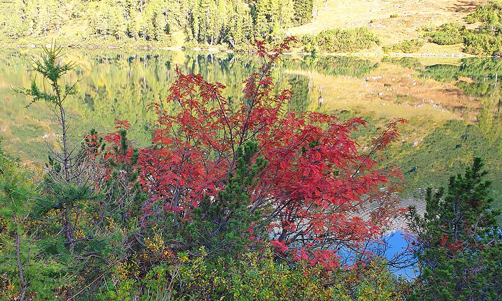 Roßkogel