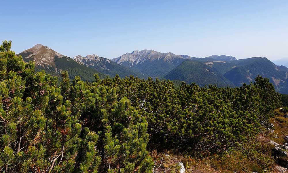 Roßkogel