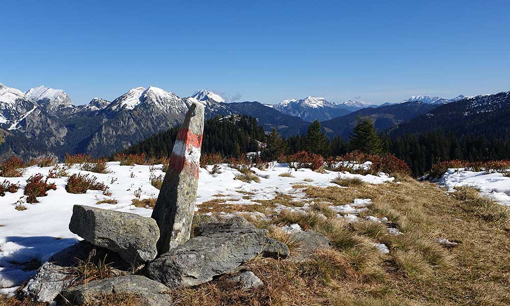 Wolfsbacherturm