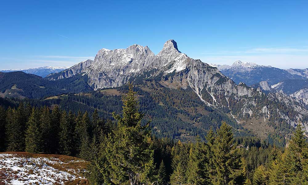 Wolfsbacherturm