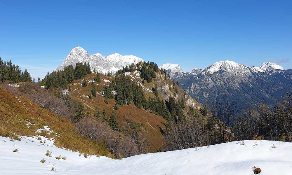 Wolfsbacherturm