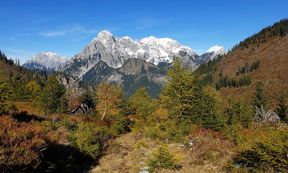 Wolfsbacherturm