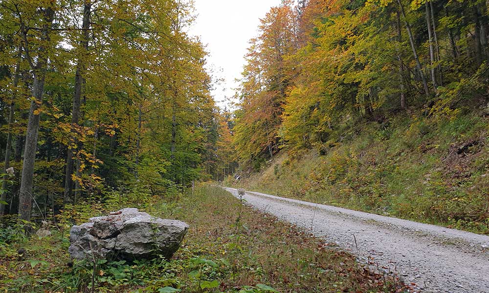 Türkenkogel