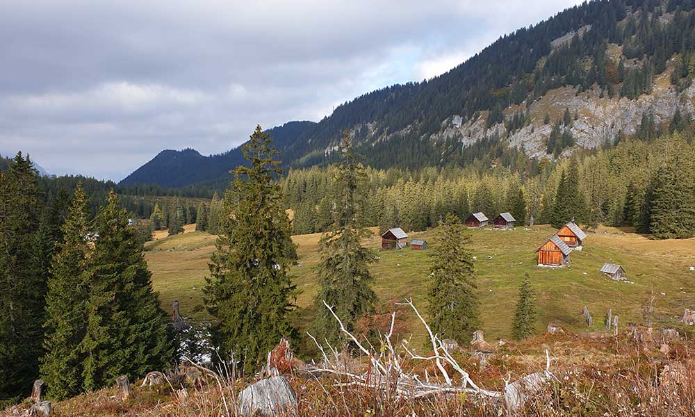 Türkenkogel