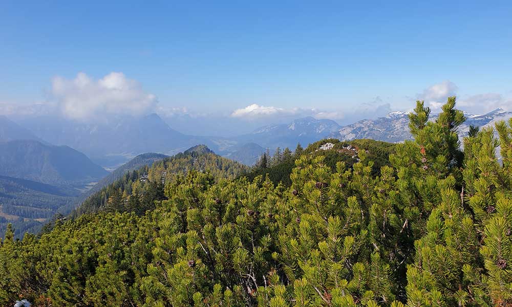 Türkenkogel