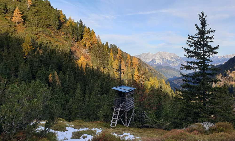 Schoberspitze