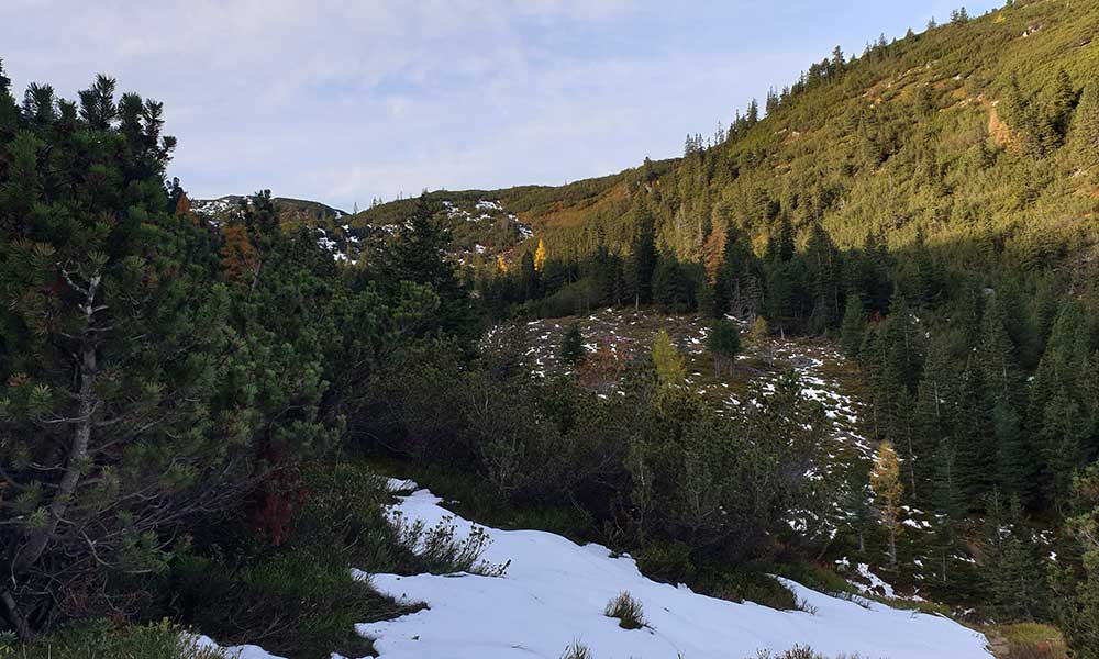 Schoberspitze