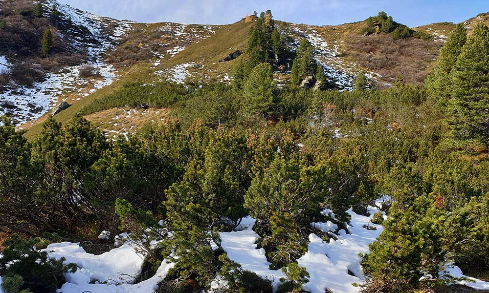 Schoberspitze