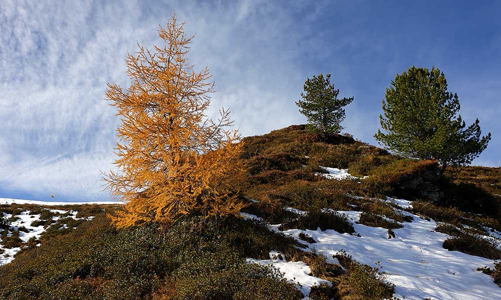 Schoberspitze