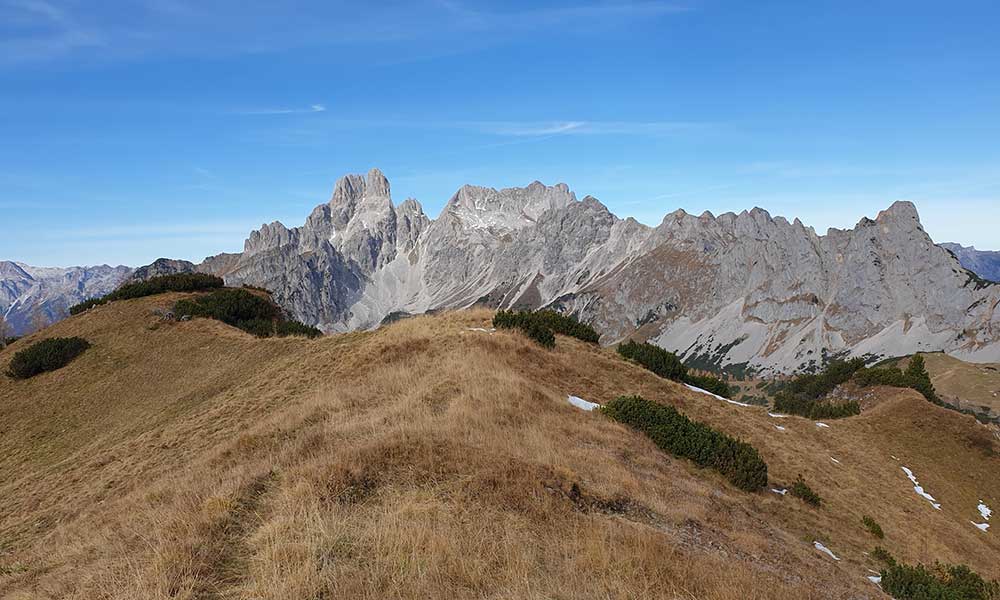 sulzenschneid