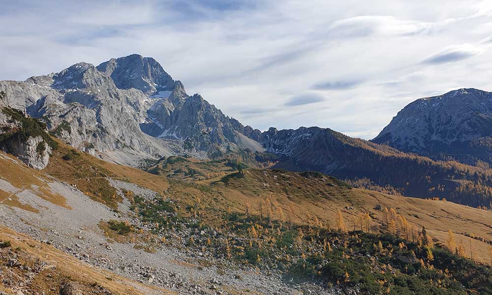 sulzenschneid