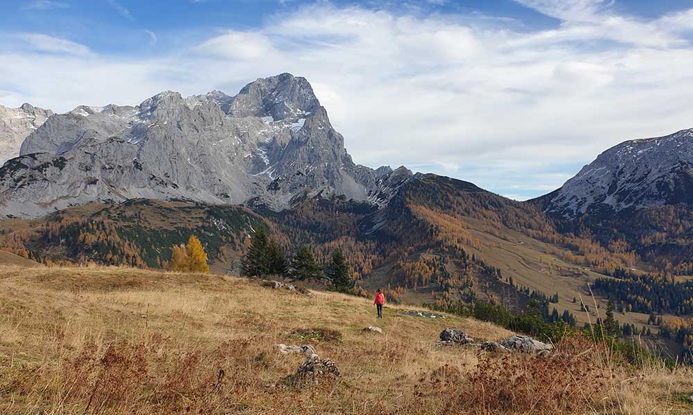 sulzenschneid