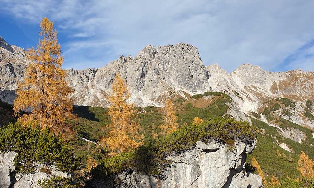 sulzenschneid