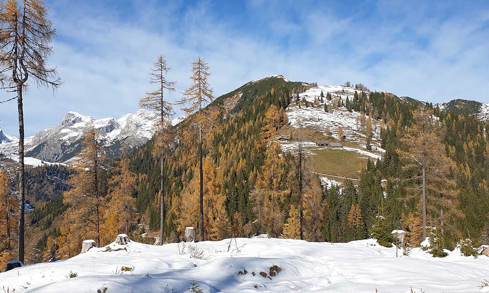 Frommerkogel