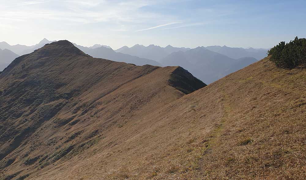 Kampspitze