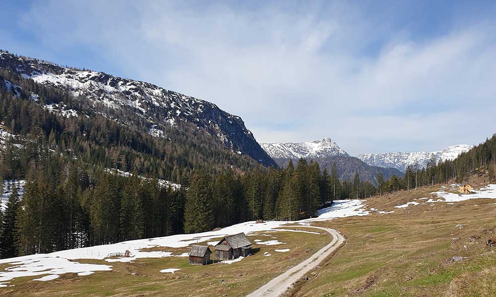 Türkenkogel