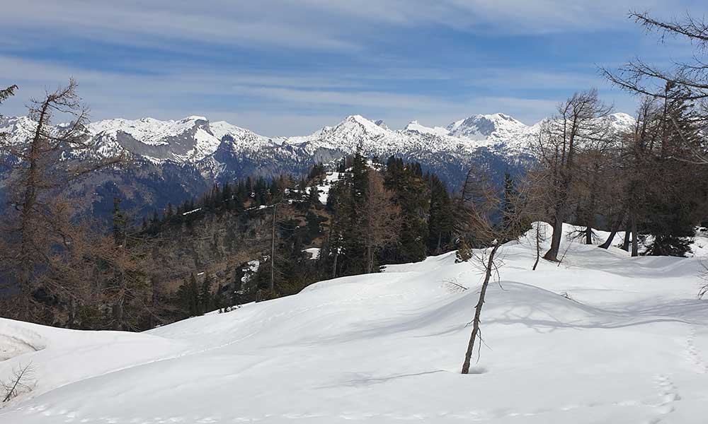 Türkenkogel