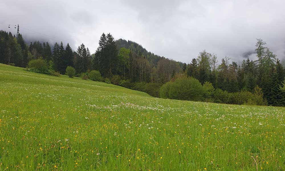 Türkenkogel