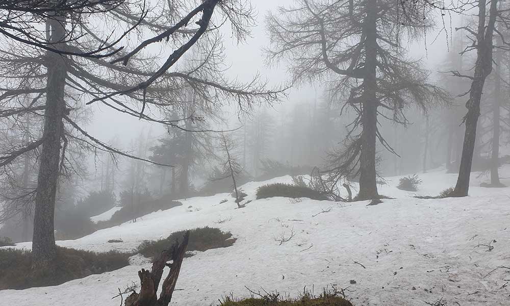 Türkenkogel